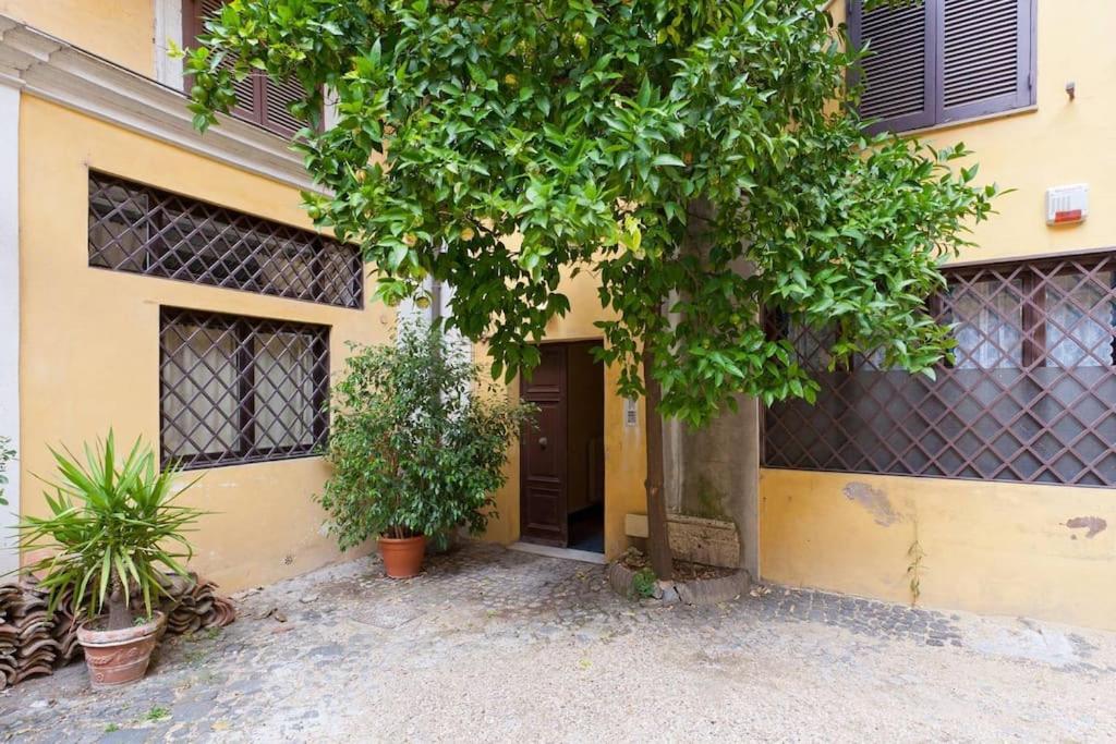 Discover The Pantheon From The Berardi Studio Flat Zewnętrze zdjęcie